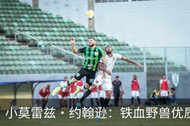 小莫雷兹·约翰逊：铁血野兽优质冠军拼图 开发三分顺位直逼乐透